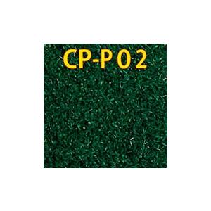 シーナリーパウダー プロ 夏の緑 【津川洋行・CP-P02】