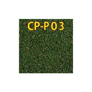 シーナリーパウダー プロ 秋の緑 【津川洋行・CP-P03】