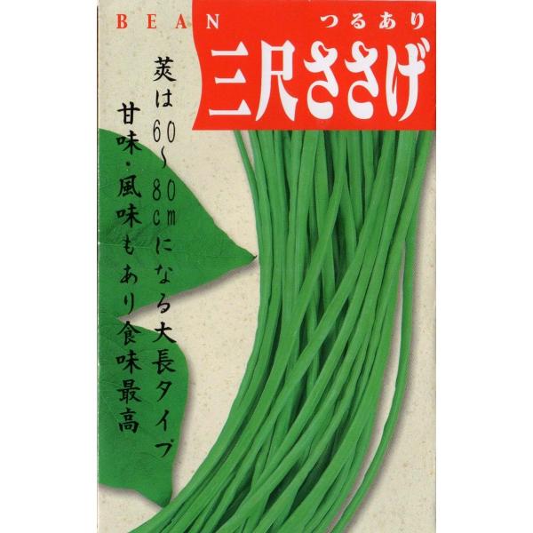 つるあり菜豆（赤種三尺ささげ）