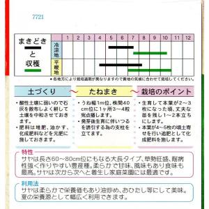 つるあり菜豆(赤種三尺ささげ)の詳細画像1