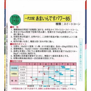 トウモロコシ(あまいんですパワー85)の詳細画像1