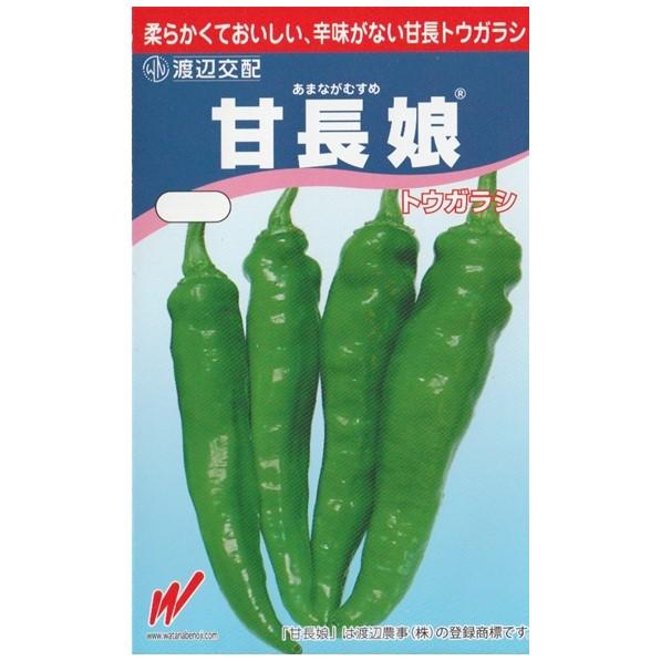とうがらし（甘長娘）