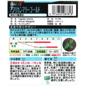 アフリカンマリーゴールドの詳細画像1