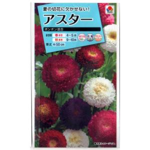 アスター ポンポン混合の商品画像