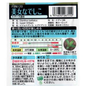 美女なでしこ 高性混合の詳細画像1