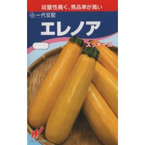 ズッキーニ(エレノア)の商品画像