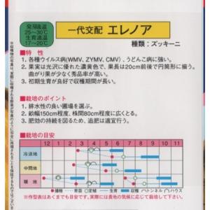 ズッキーニ(エレノア)の詳細画像1