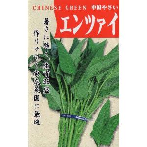数量限定）種 野菜たね 世界の野菜 エンサイ （空芯菜R） 1袋
