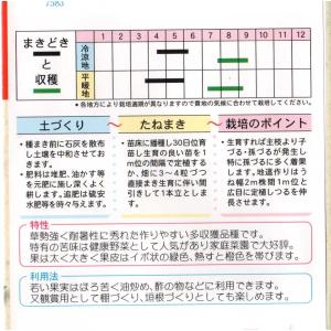 ニガウリ(太れいし)の詳細画像1