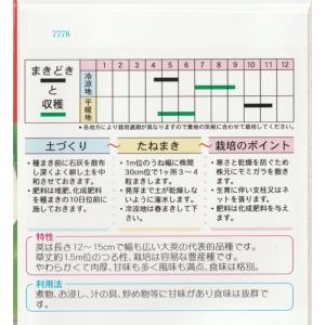 赤花絹莢豌豆(仏国大莢)の詳細画像1
