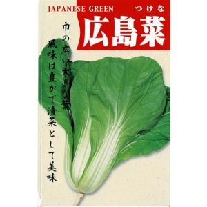 広島菜