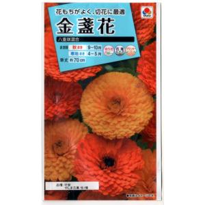 金盞花 八重咲混合の商品画像