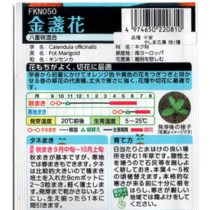金盞花 八重咲混合の詳細画像1