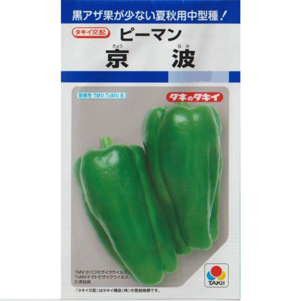 ピーマン（京波）