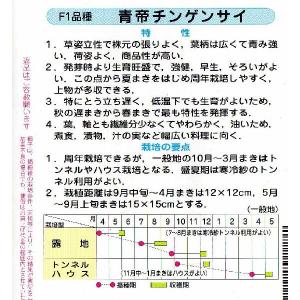 チンゲンサイ(青帝チンゲンサイ)の詳細画像1