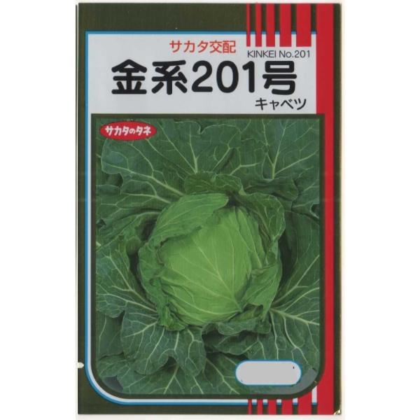 キャベツ（金系２０１号）
