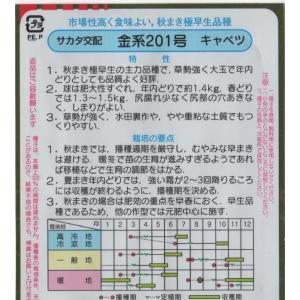 キャベツ(金系201号)の詳細画像1