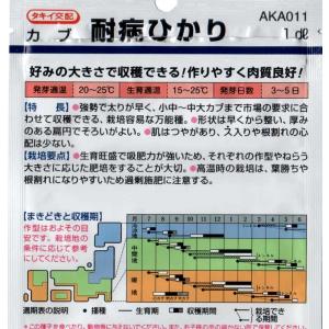 かぶ(耐病ひかりかぶ)の詳細画像1