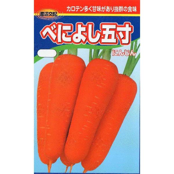 人参（べによし五寸人参）