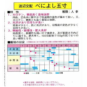 人参(べによし五寸人参)の詳細画像1