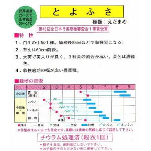 枝豆(とよふさ)の詳細画像1