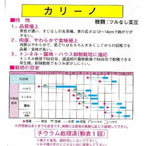 つるなし菜豆(カリーノ)の詳細画像1