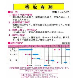 春菊(香取春菊)の詳細画像1
