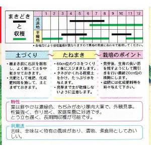 かつお菜の詳細画像1