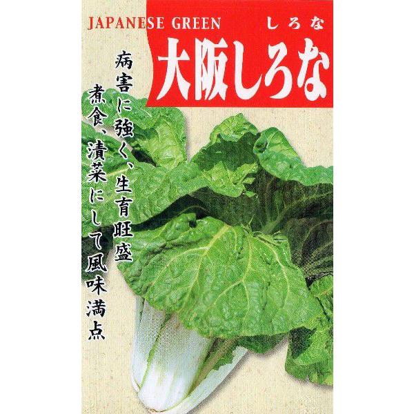 晩生大阪しろな