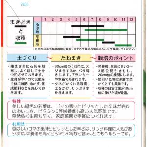 ロケットサラダの詳細画像1