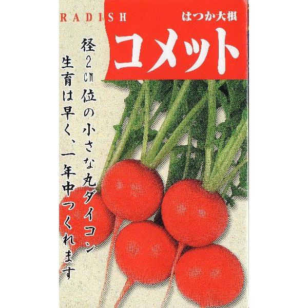 赤丸廿日大根（コメット）