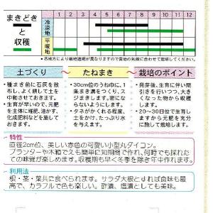 赤丸廿日大根(コメット)の詳細画像1