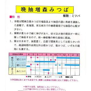 みつば(晩抽増森)の詳細画像1