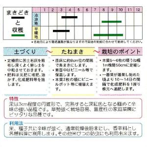 鷹の爪唐辛子の詳細画像1