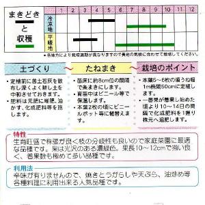 伏見甘長唐辛子の詳細画像1