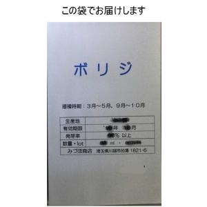 ボリジの詳細画像2