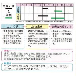 つるむらさきの詳細画像1