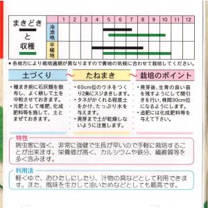 ヒユナの詳細画像1