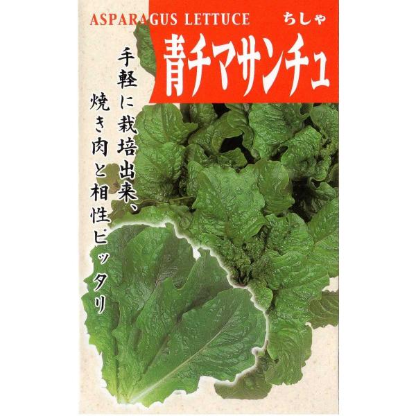 チマサンチュ青葉種