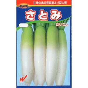 青首大根（さとみ）