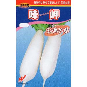三浦大根（味岬）
