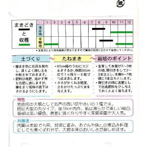 大丸聖護院大根の詳細画像1