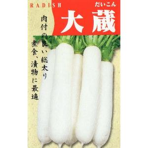 大蔵大根