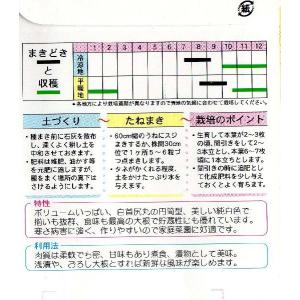 大蔵大根の詳細画像1