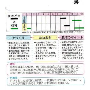 紅心大根の詳細画像1