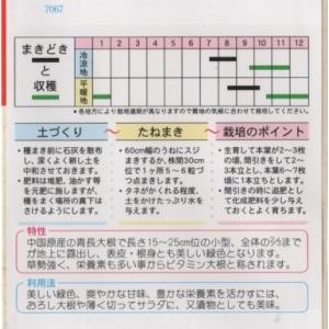ビタミン大根の詳細画像1