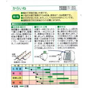 辛味大根(からいね)の詳細画像1