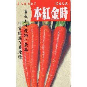 本紅金時人参