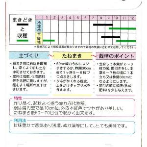 本紅大丸かぶの詳細画像1
