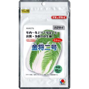 白菜（金将二号：中生　85日型）